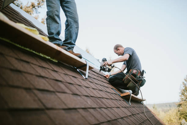 Professional Roofing Contractor in Hutto, TX